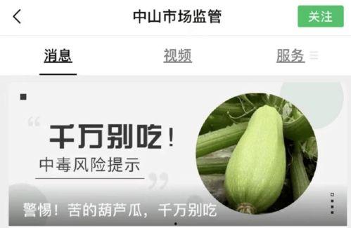 吃瓜有苦味,探寻夏日消暑美食的奇妙口感