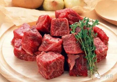 怪瓜吃牛肉的视频,趣味烹饪新体验