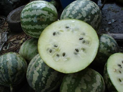 老京瓜怎么吃,解锁传统美食新体验