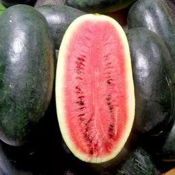 月瓜怎么吃最好,月瓜的最佳食用方法揭秘