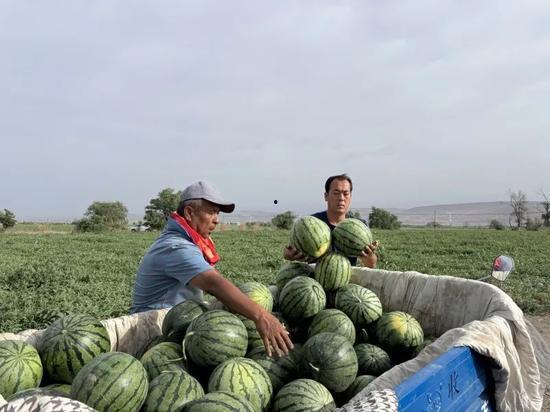 满岁吃瓜,揭秘成长中的甜蜜与苦涩