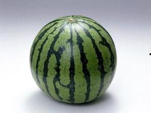 瓜会吃胖吗,吃瓜真的会让人发胖吗？揭秘真相