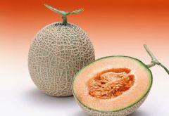 吃冰镇的哈密瓜,哈密瓜冰镇新体验