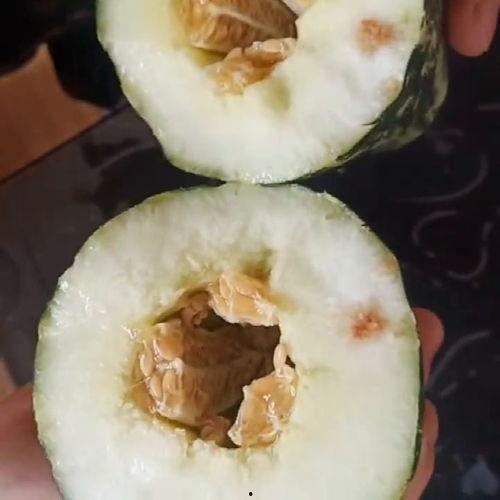 好友见面吃瓜,共享瓜界盛宴