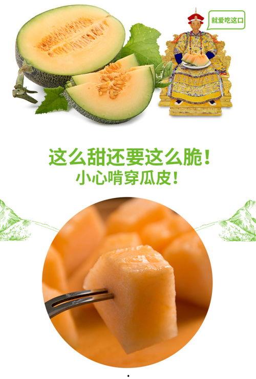 天山蜜瓜怎么吃