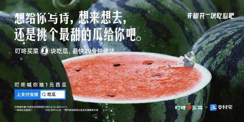 吃瓜文案字幕素材,揭秘吃瓜文案背后的趣味与智慧