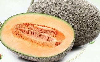 月经哈密瓜可以吃吗,哈密瓜的益处与食用指南